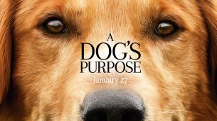 A Dog’s Purpose (2017)