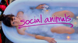 Social Animals (2018)