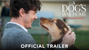 A Dog’s Way Home (2019)