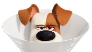 The Secret Life of Pets 2 (2019)