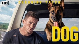 Dog (2022)