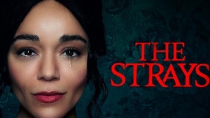 The Strays (2023)