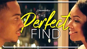 The Perfect Find (2023)